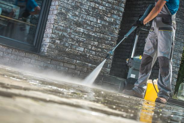 Best Roof Washing  in Wabasso, FL